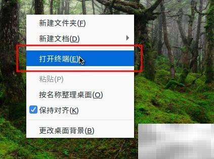 Linux查看历史命令记录方法