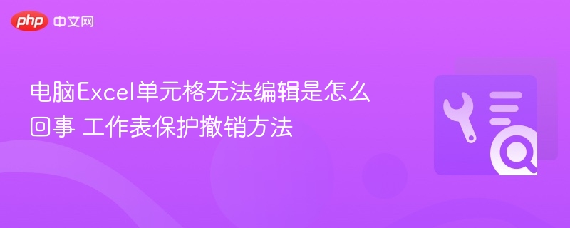 Excel单元格无法编辑？解除保护方法详解