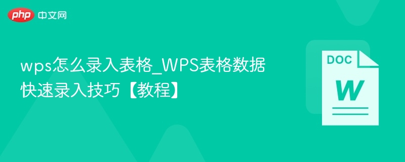 WPS表格高效录入技巧分享