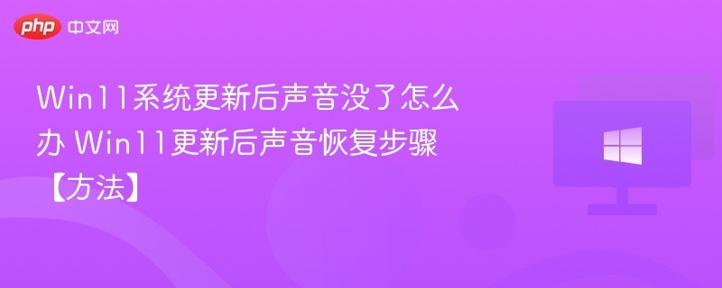 Win11无声音怎么恢复？详细解决方法