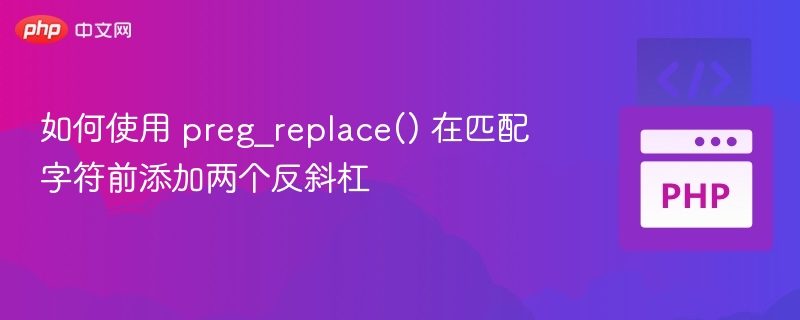 preg_replace添加两个反斜杠的正确用法
