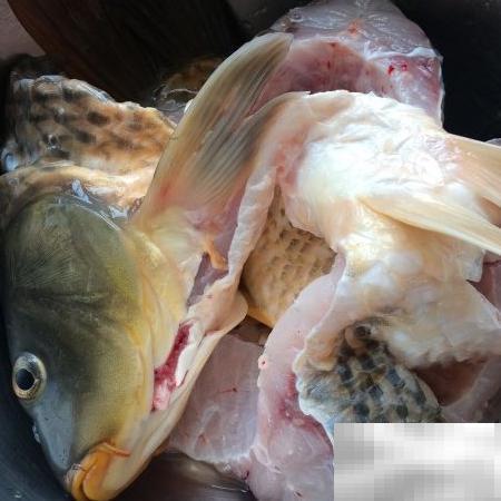 旺顺阁鱼头泡饼制作步骤详解