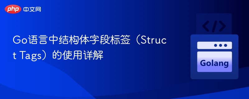 Go结构体标签详解与使用技巧