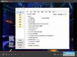 GOMPlayer怎么启用调节视频大小功能