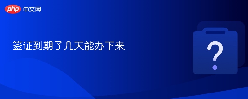 签证到期了几天能办下来