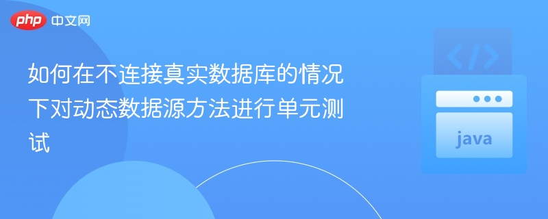 动态数据源单元测试技巧分享