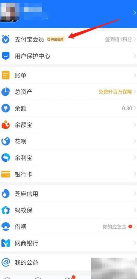 支付宝积分抽福卡玩法解析