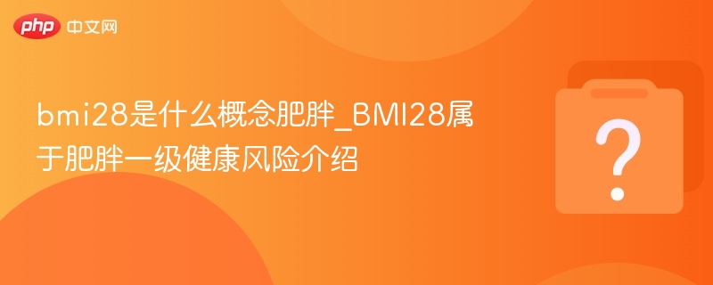 bmi28是什么概念肥胖_BMI28属于肥胖一级健康风险介绍