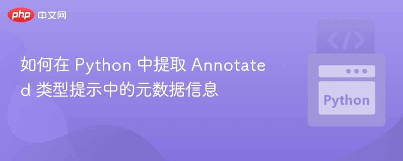 如何在 Python 中提取 Annotated 类型提示中的元数据信息
