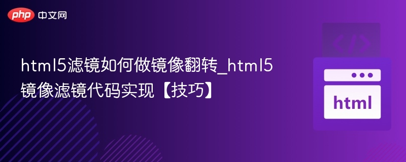 HTML5滤镜实现镜像翻转方法