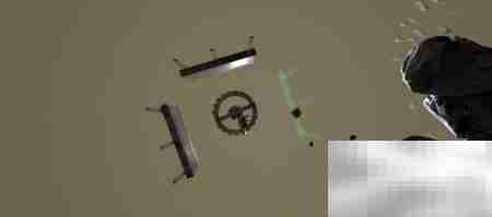 如何捕捉南方巨兽龙