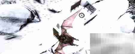 如何捕捉南方巨兽龙