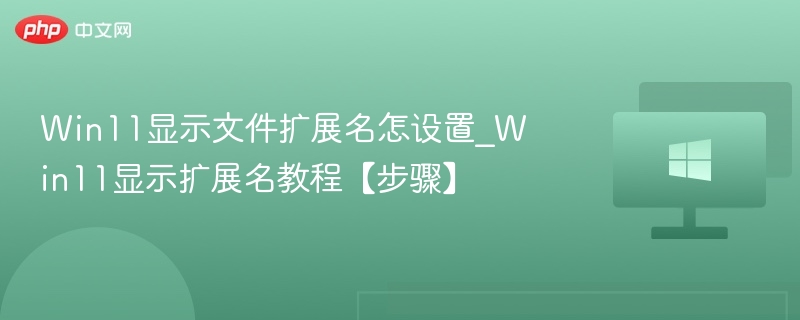 Win11显示文件扩展名怎么设置
