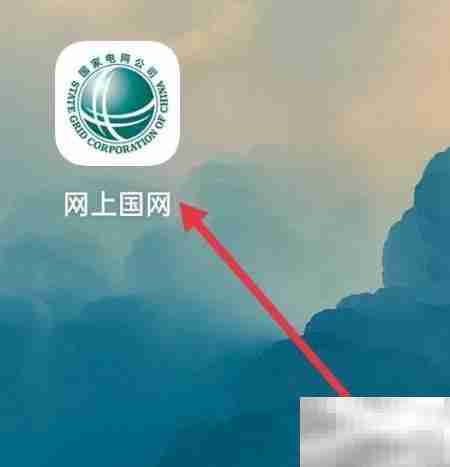 网上国网查账务指南