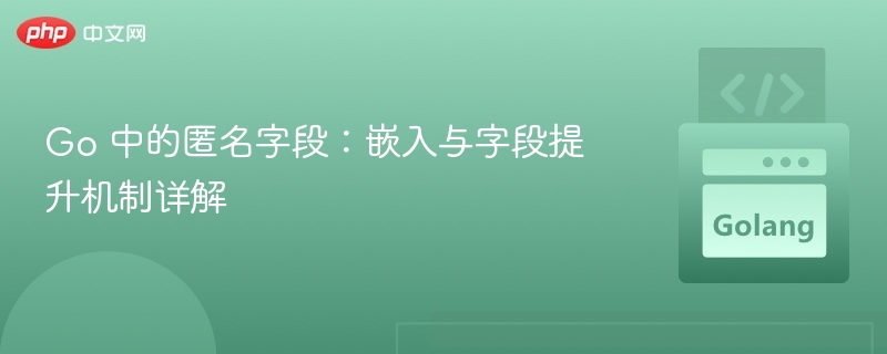 Go 中的匿名字段:嵌入与字段提升机制详解