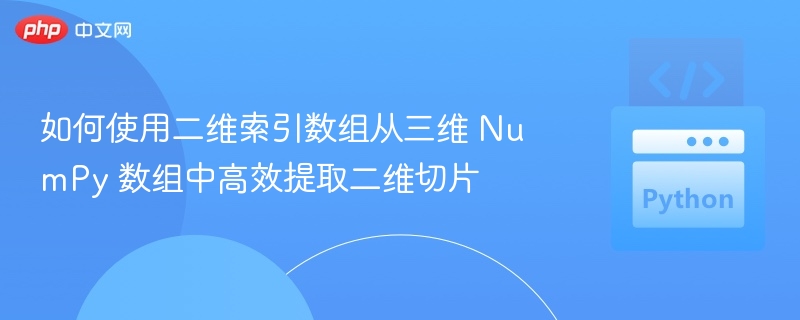 如何使用二维索引数组从三维 NumPy 数组中高效提取二维切片