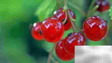 水果店生意好做吗?值得投资吗