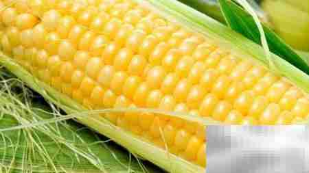 玉米收购账务处理指南