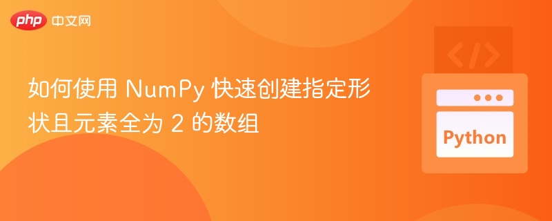 如何使用 NumPy 快速创建指定形状且元素全为 2 的数组
