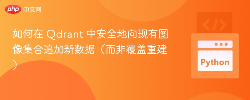 Qdrant安全追加图像数据不覆盖方法