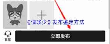 值哆少如何发布鉴定