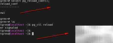 PostgreSQL常用维护命令