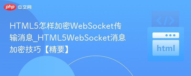 HTML5WebSocket加密技巧与实现方法