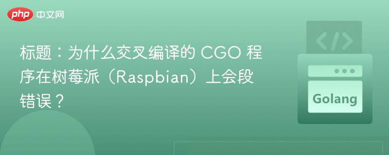 CGO交叉编译引发树莓派段错误解析
