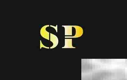 SP是哪个英文单词的缩写？