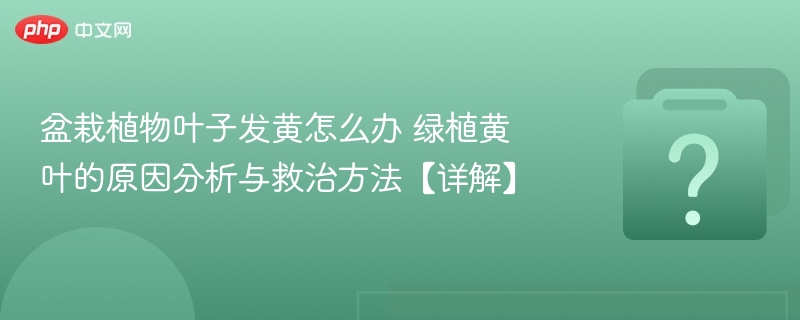 盆栽黄叶原因及解决方法大全