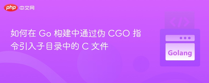 Go项目引入C文件的伪CGO实践