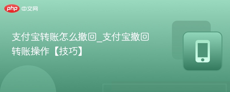支付宝转账撤回方法与技巧
