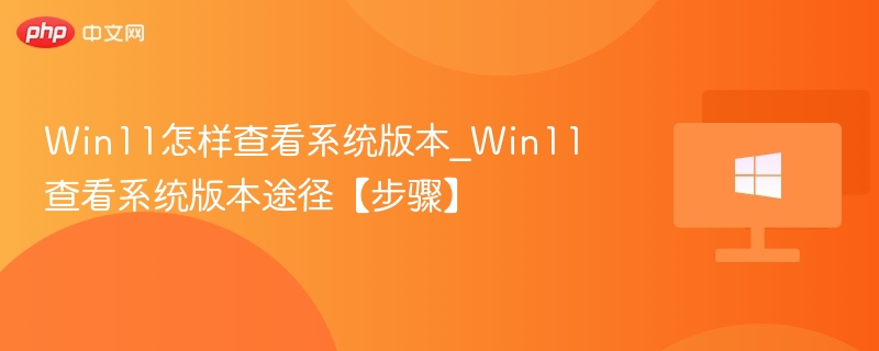 Win11查看系统版本方法详解