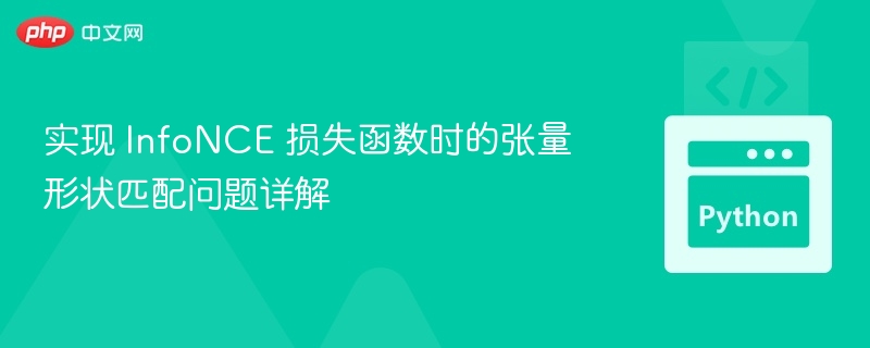 InfoNCE损失形状不匹配问题详解