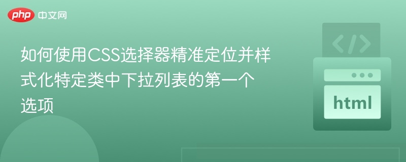 如何使用CSS选择器精准定位并样式化特定类中下拉列表的第一个选项
