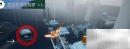 光遇8.17密林冥想任务怎么完成