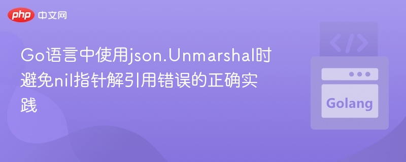 Go防止json空指针错误的实用技巧