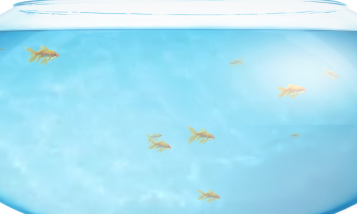 Fishbowl测试链接：在线养鱼跑分网站