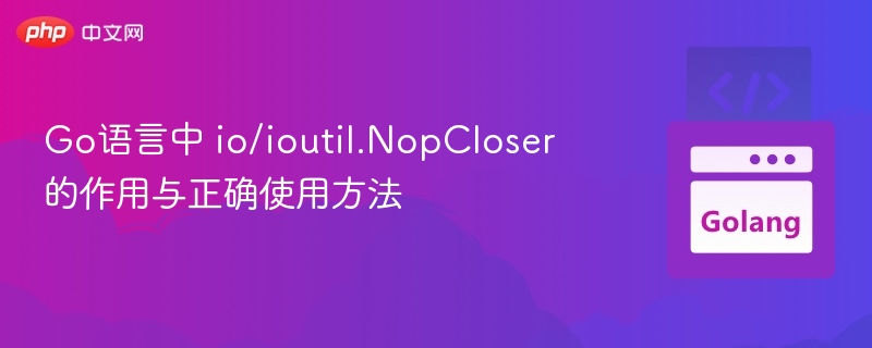 Go语言中 io/ioutil.NopCloser 的作用与正确使用方法
