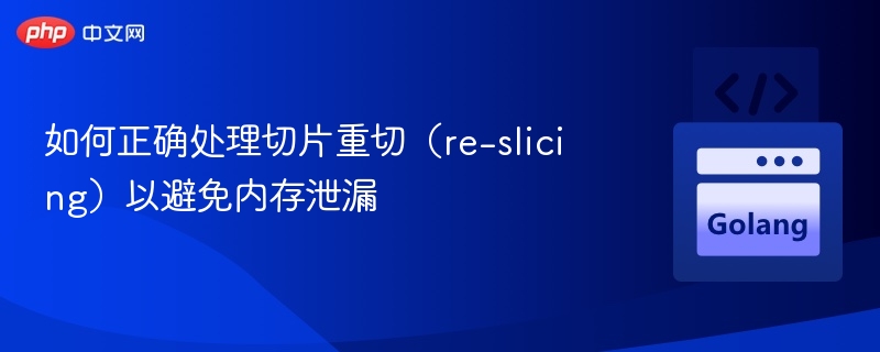 如何正确处理切片重切(re-slicing)以避免内存泄漏