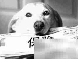 车险第三者保费多少?