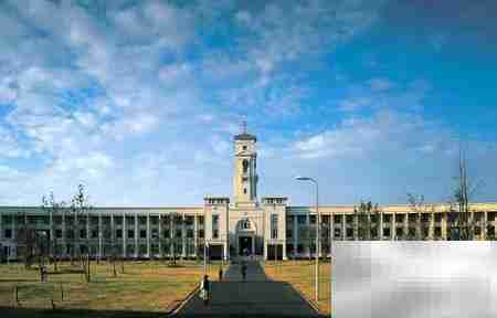 国内顶尖中外合作办学排名