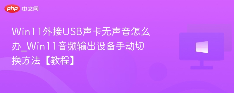 Win11外接USB声卡无声音怎么办_Win11音频输出设备手动切换方法【教程】