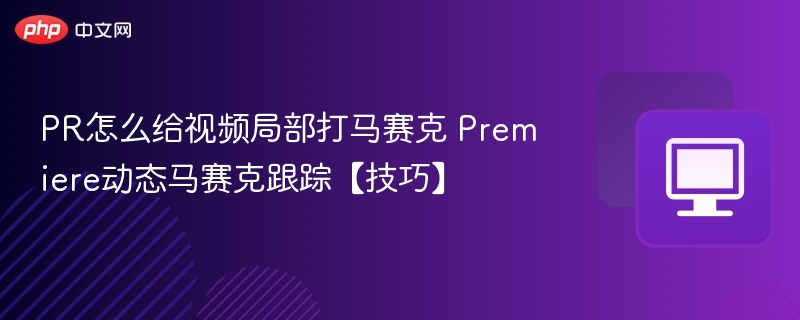 PR视频局部马赛克制作教程