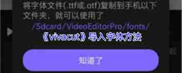 vivacut如何导入字体