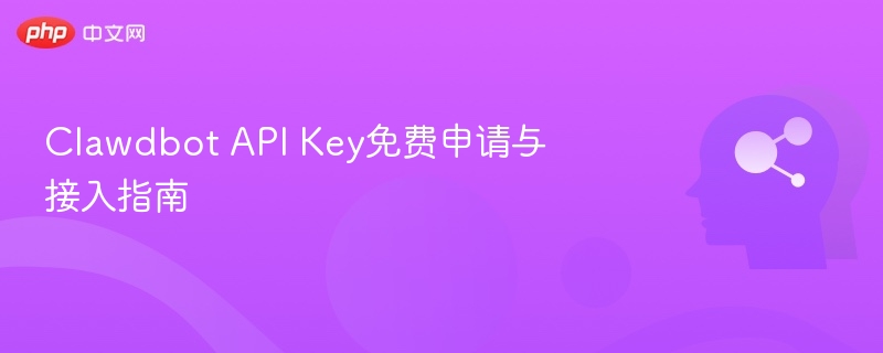 ClawdbotAPIKey申请与使用方法