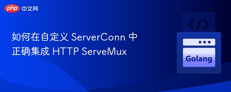 自定义ServerConn集成HTTPServeMux方法