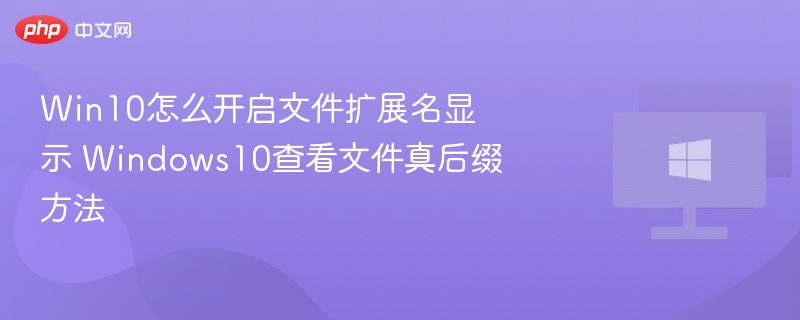 Win10怎么开启文件扩展名显示 Windows10查看文件真后缀方法