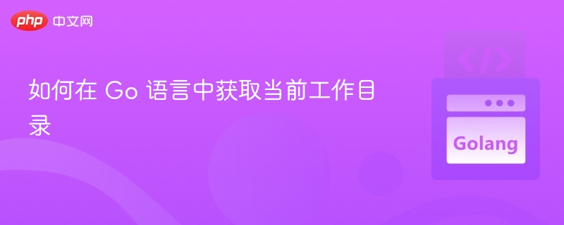 如何在 Go 语言中获取当前工作目录
