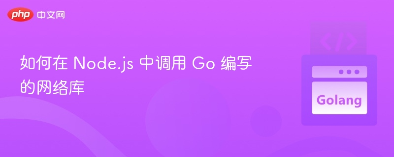 Node.js调用Go网络库的实现方式